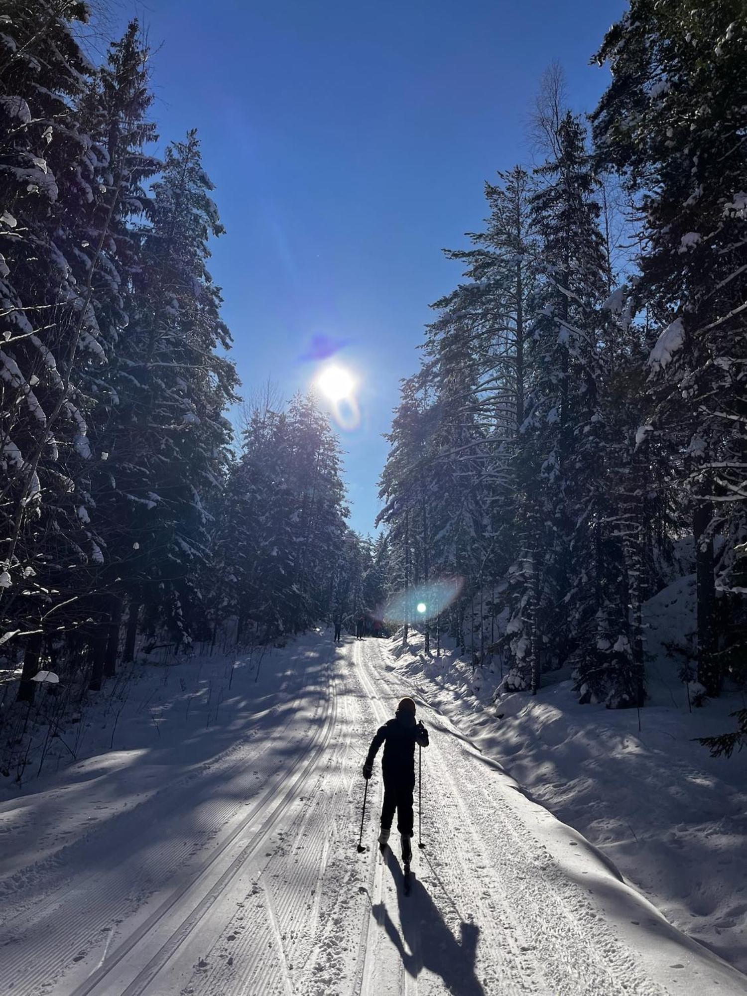 Chalet Porthos Ski-in With Private Hot Tub And Sauna In Lapland *